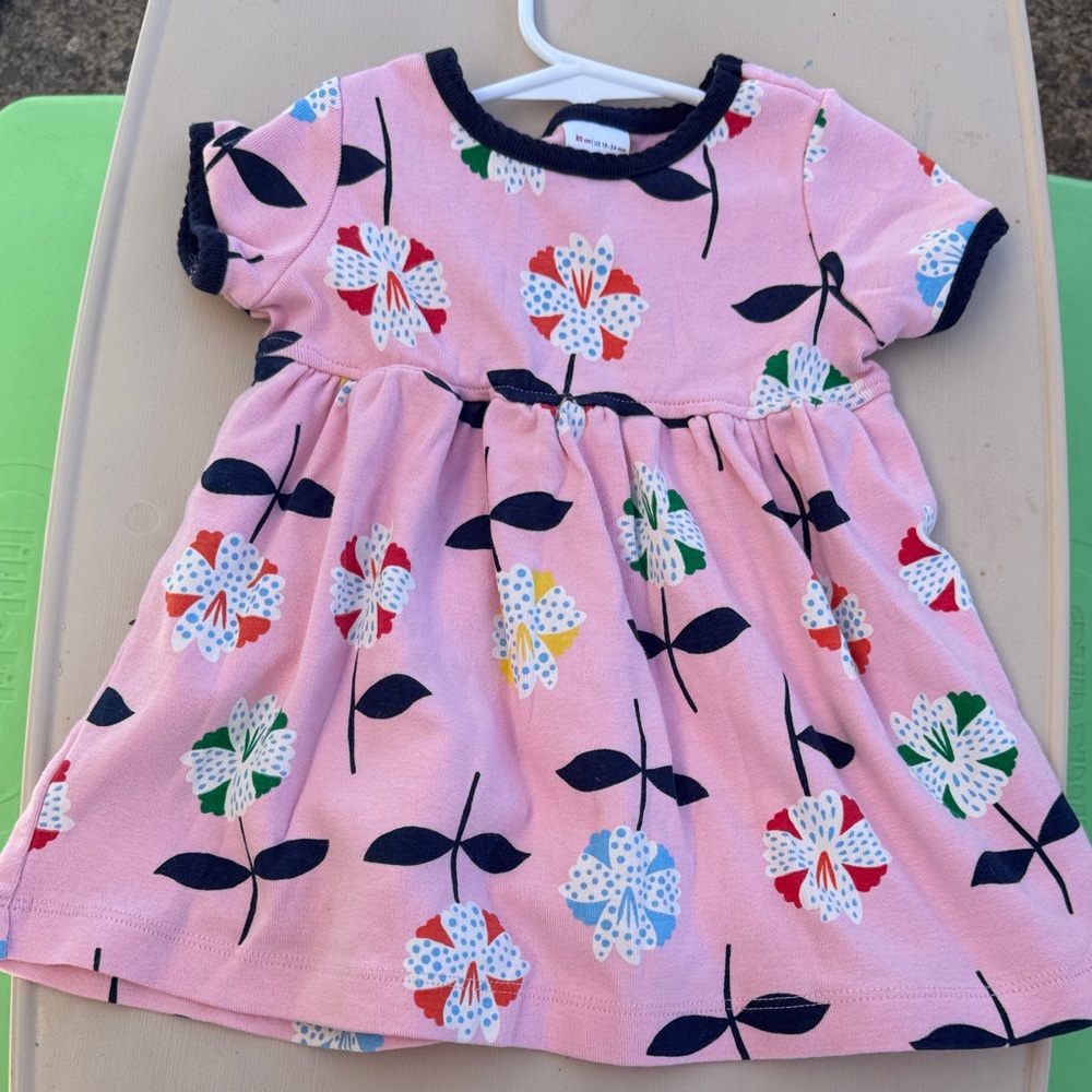 Hanna Andersson Pink Dress with Multicolor Floral Print
